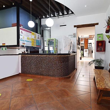 メキシコ シティ ホステル メキシコシティ エクステリア 写真